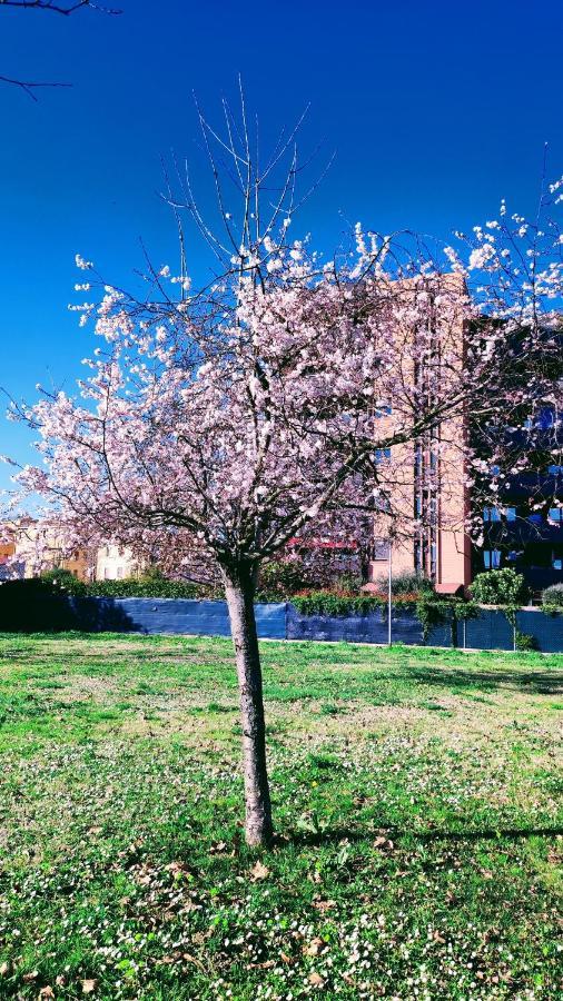Bologna Vista Parco Apartment 2 Letti Matrimoniali Extérieur photo